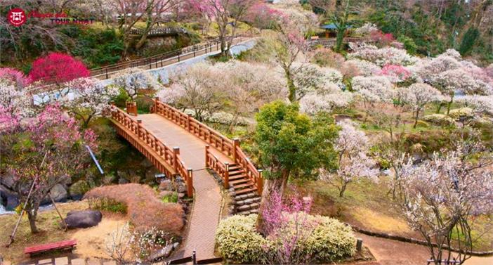 [HCM] Tour Hành Trình Vàng Nhật Bản Mùa Đông Đón Tết Bính Ngọ